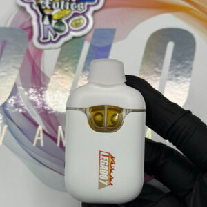 flavorz duoz 2g disposable