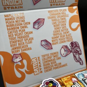 favorites 2g minis orange edition