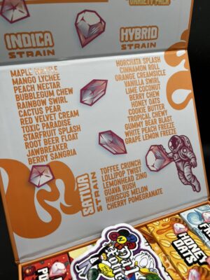 favorites 2g minis orange edition