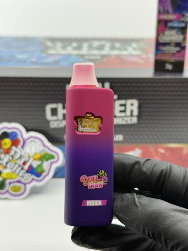 whole melt 2g dual chamber