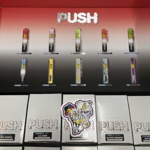 push disposable last dance