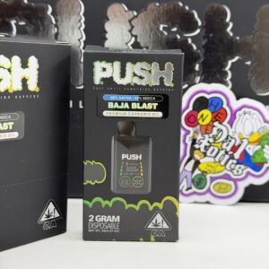 new push 2g disposable
