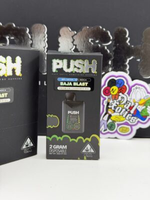 new push 2g disposable