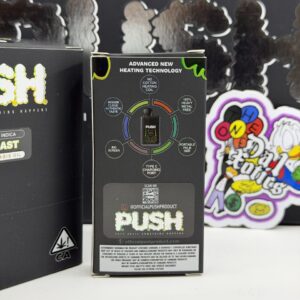 new push disposable 2 gram