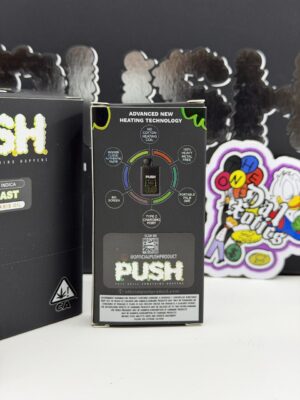 new push disposable 2 gram