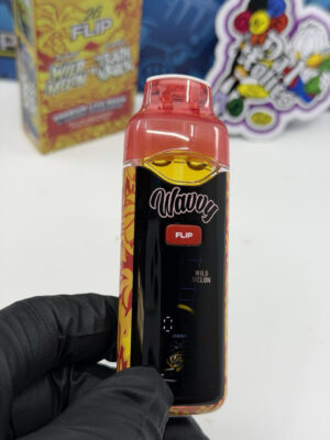 wavvy 2g flip disposable