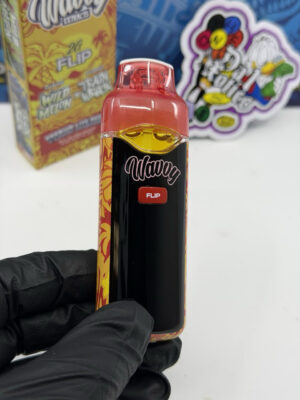 wavvy flip 2g disposable