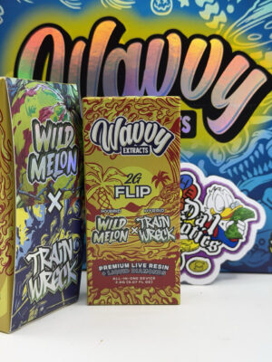 wavvy flip disposable