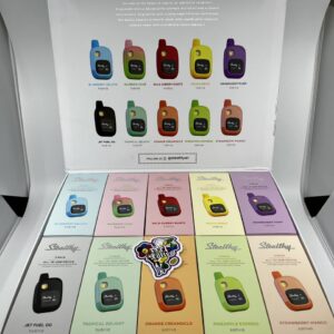 stealthy disposable 2g