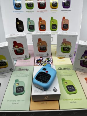 stealthy disposable 2g