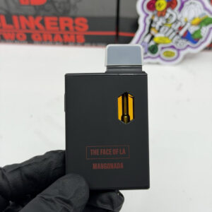 blinkers the face of la disposable