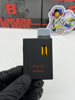 blinkers the face of la disposable