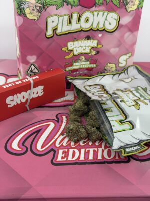 snooze pillows valentines edition