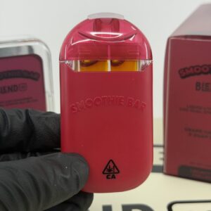 smoothie bar blend 3.0 dual