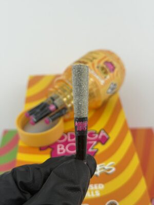 bodega boyz shorties pre roll