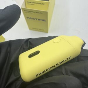 pastime disposable 2g