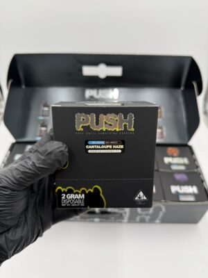 push spring 2g disposable