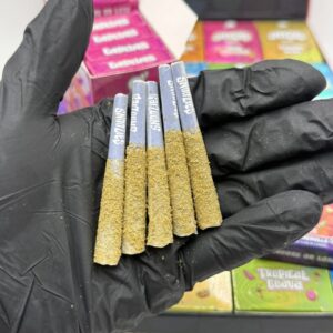 snoozies pre rolls