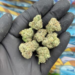 sweetz exotics flower beach house