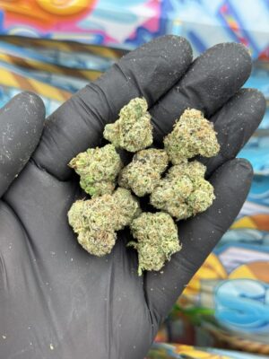 sweetz exotics flower beach house