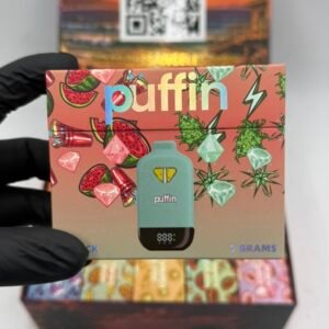 puffin dual 2g disposable