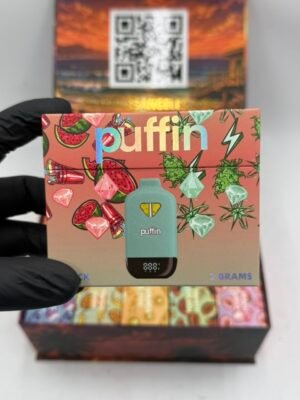 puffin dual 2g disposable