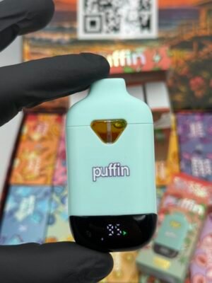puffin summer edition disposable